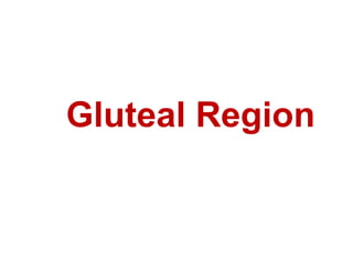 Gluteal Region
 