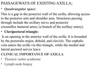 ANATOMY 1 FOR NURSING (ANAT 221) -2.pptx