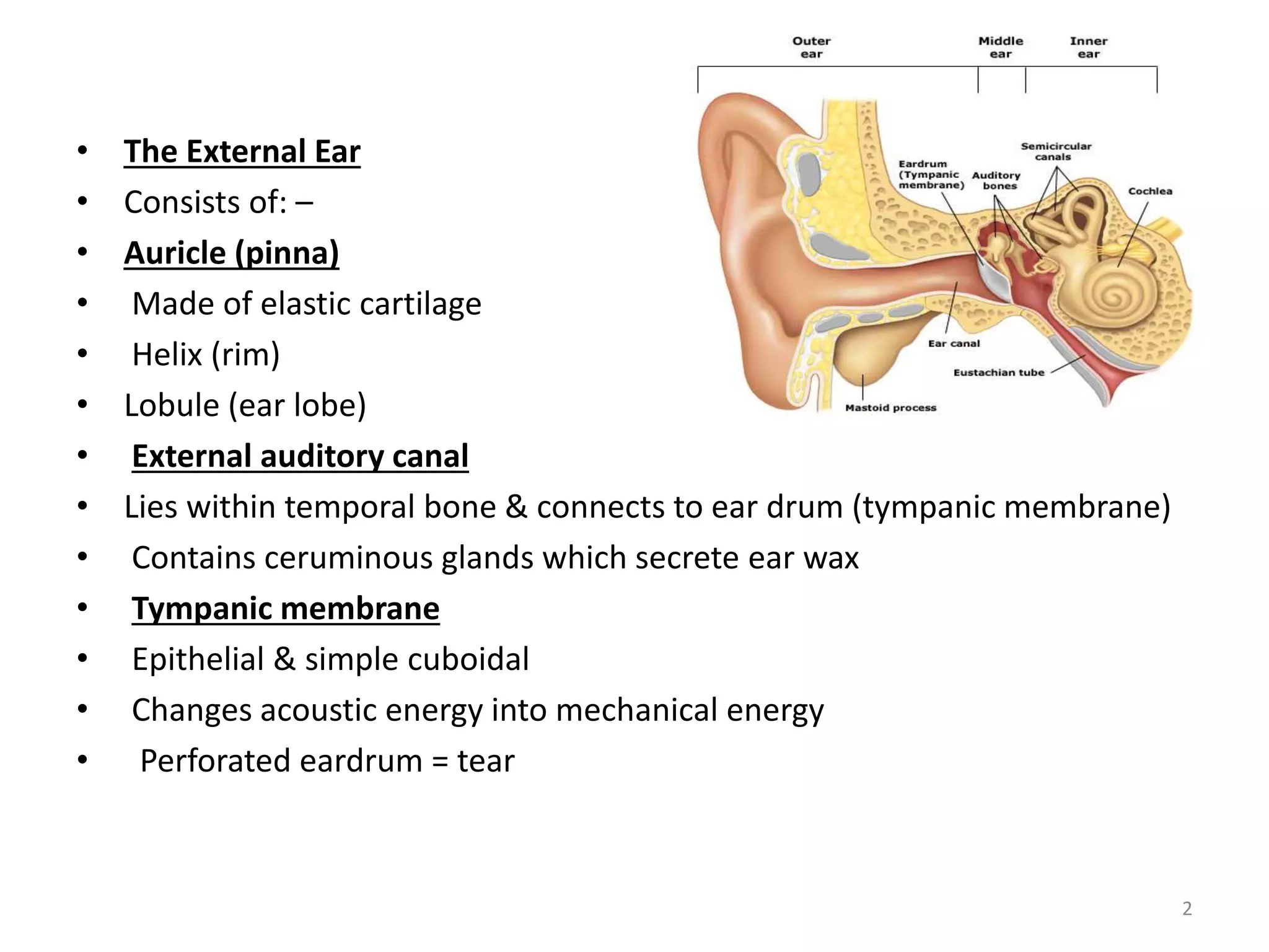 Anatomy 1-The anatomy and physiology of human ear Biology Diagrams