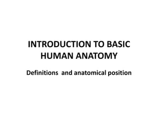 INTRODUCTION TO BASIC
HUMAN ANATOMY
Definitions and anatomical position
 