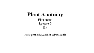 Plant Anatomy
First stage
Lecture 2
By
Asst. prof. Dr. Luma H. Abdulqadir
 