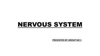 NERVOUS SYSTEM
PRESENTED BY GROUP NO 1
 