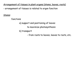 Arrangement of tissues in plant organs (stems, leaves, roots)
- arrangement of tissues is related to organ function
Stems:
functions
a) support and positioning of leaves
to maximize photosynthesis
b) transport
- from roots to leaves, leaves to roots, etc.
 