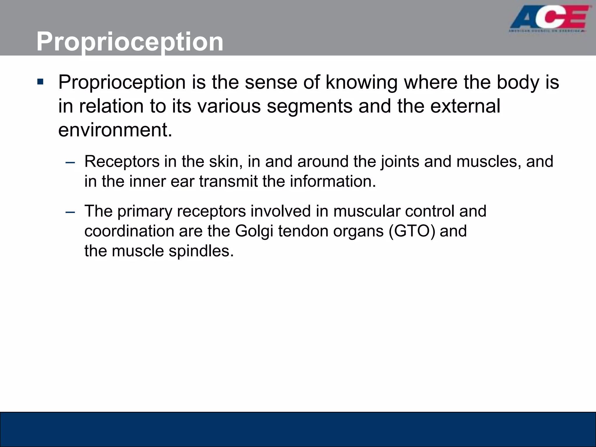 Proprioception
 Proprioception is the sense of knowing where the body is
  in relation to its various segments and the external
  environment.
   – Receptors in the skin, in and around the joints and muscles, and
     in the inner ear transmit the information.
   – The primary receptors involved in muscular control and
     coordination are the Golgi tendon organs (GTO) and
     the muscle spindles.
 