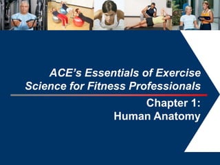 ACE’s Essentials of Exercise
Science for Fitness Professionals
                    Chapter 1:
                Human Anatomy


                                    1
 