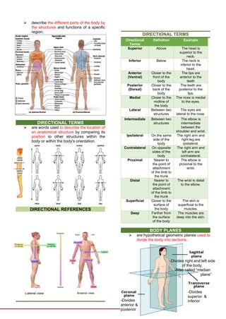 ANATOMY%20AND%20PHYSIOLOGY%20LECTURE-PRELIM.docx