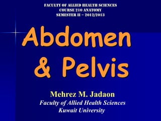 Abdomen
& Pelvis
Mehrez M. Jadaon
Faculty of Allied Health Sciences
Kuwait University
Faculty of Allied Health Sciences
Course 210 anatomy
Semester II – 2012/2013
 