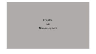 Chapter
(4)
Nervous system
 