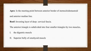 Anatomy of neck..triangles of the neck... | PPTX