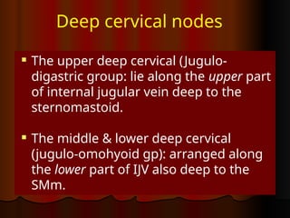 Anatomy of the head and neck ( blood supply and lymphatic drainage) | PPTX