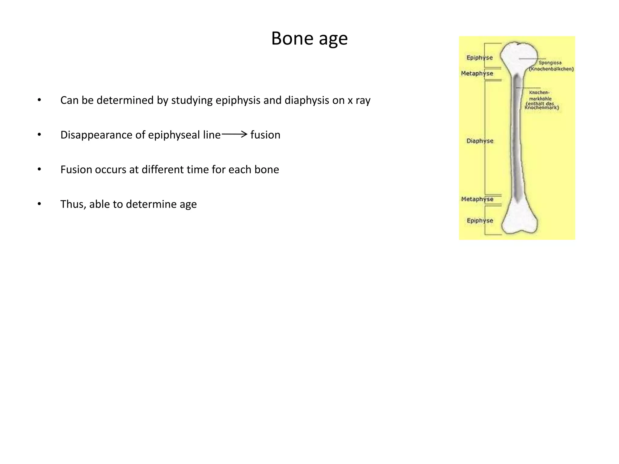 Bone healingAfter fracture bone must be lined to original positionCallus is formed to hold bone in placeCallus made of collagenCallus calcifiesAnd absorbed and replaced by bone