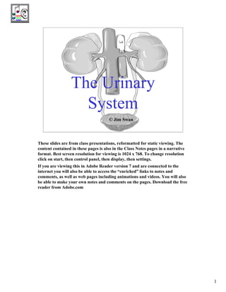 1
The Urinary
System
© Jim Swan
These slides are from class presentations, reformatted for static viewing. The
content contained in these pages is also in the Class Notes pages in a narrative
format. Best screen resolution for viewing is 1024 x 768. To change resolution
click on start, then control panel, then display, then settings.
If you are viewing this in Adobe Reader version 7 and are connected to the
internet you will also be able to access the “enriched” links to notes and
comments, as well as web pages including animations and videos. You will also
be able to make your own notes and comments on the pages. Download the free
reader from Adobe.com
There is no
audio file for
this slide.
 