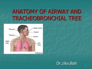 ANATOMY OF AIRWAY AND
TRACHEOBRONCHIAL TREE
Dr.zikrullah 1
 