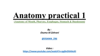 Anatomy practical 1
(Anatomy of Mouth, Pharynx, Esophagus, Stomach & Duodenum)
By :
Osama Al-Zahrani
@OSAMA_Z96
Video :
https://www.youtube.com/watch?v=pgBnOtHAeXI
 