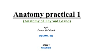 Anatomy practical 1
(Anatomy of Thyroid Gland)
By :
Osama Al-Zahrani
@OSAMA_Z96
Video :
Click Here
 
