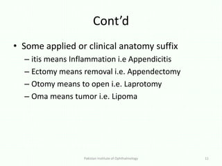 Anatomy and basics | PPTX