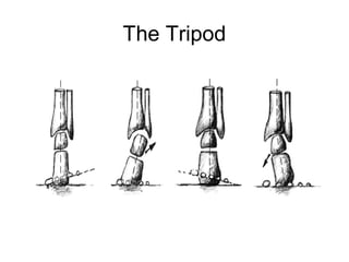 The Tripod
 