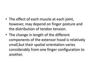Anatomy and biomechanics of hand | PPTX