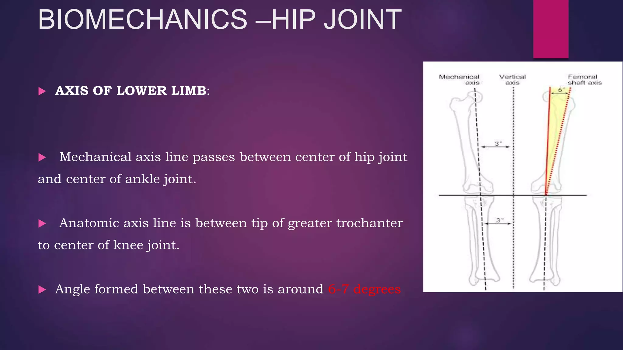 Anatomy and biomechanics of hip joint | PPTX | Death, Injury, or ...