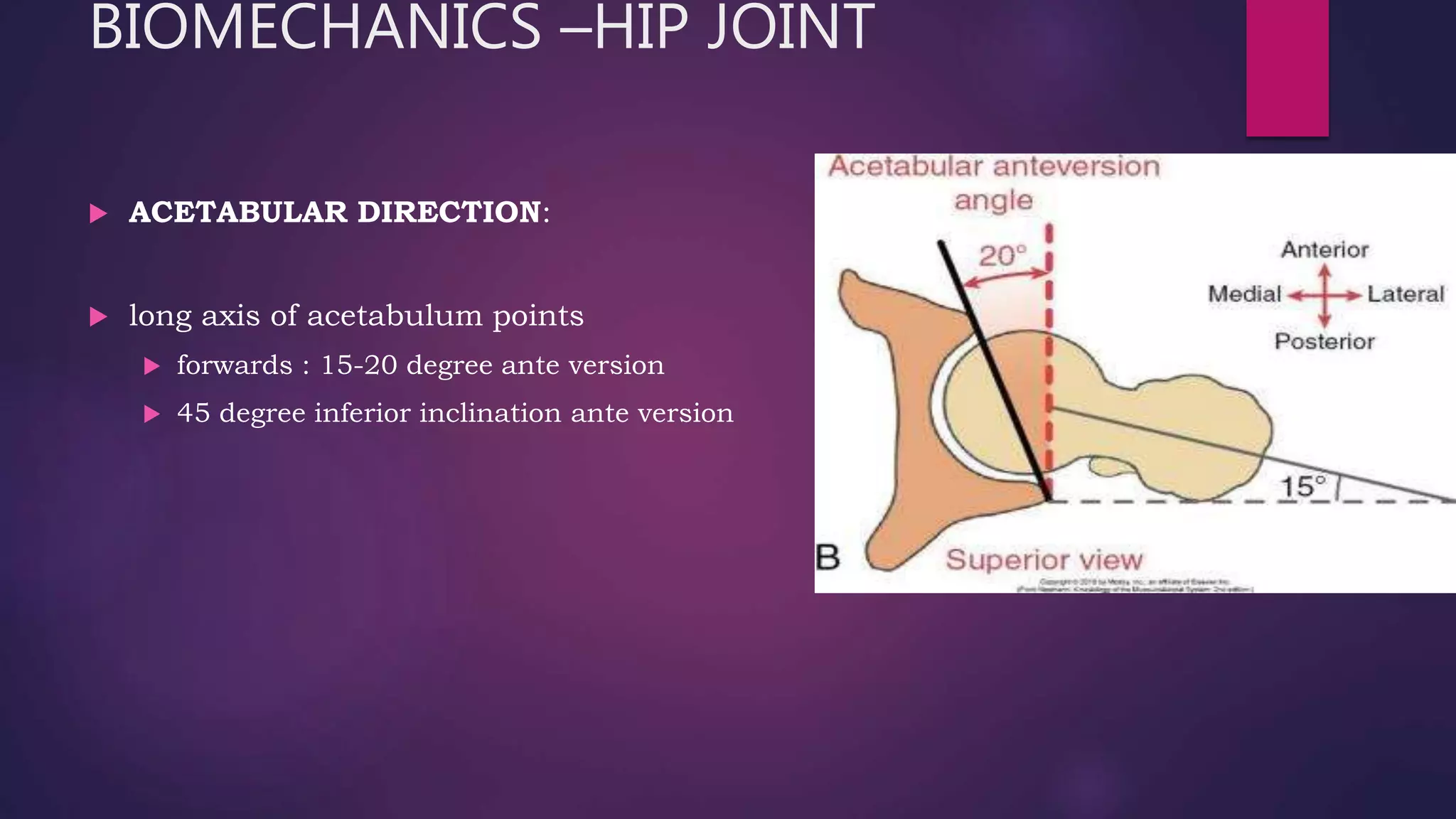 Anatomy and biomechanics of hip joint [autosaved] | PPTX
