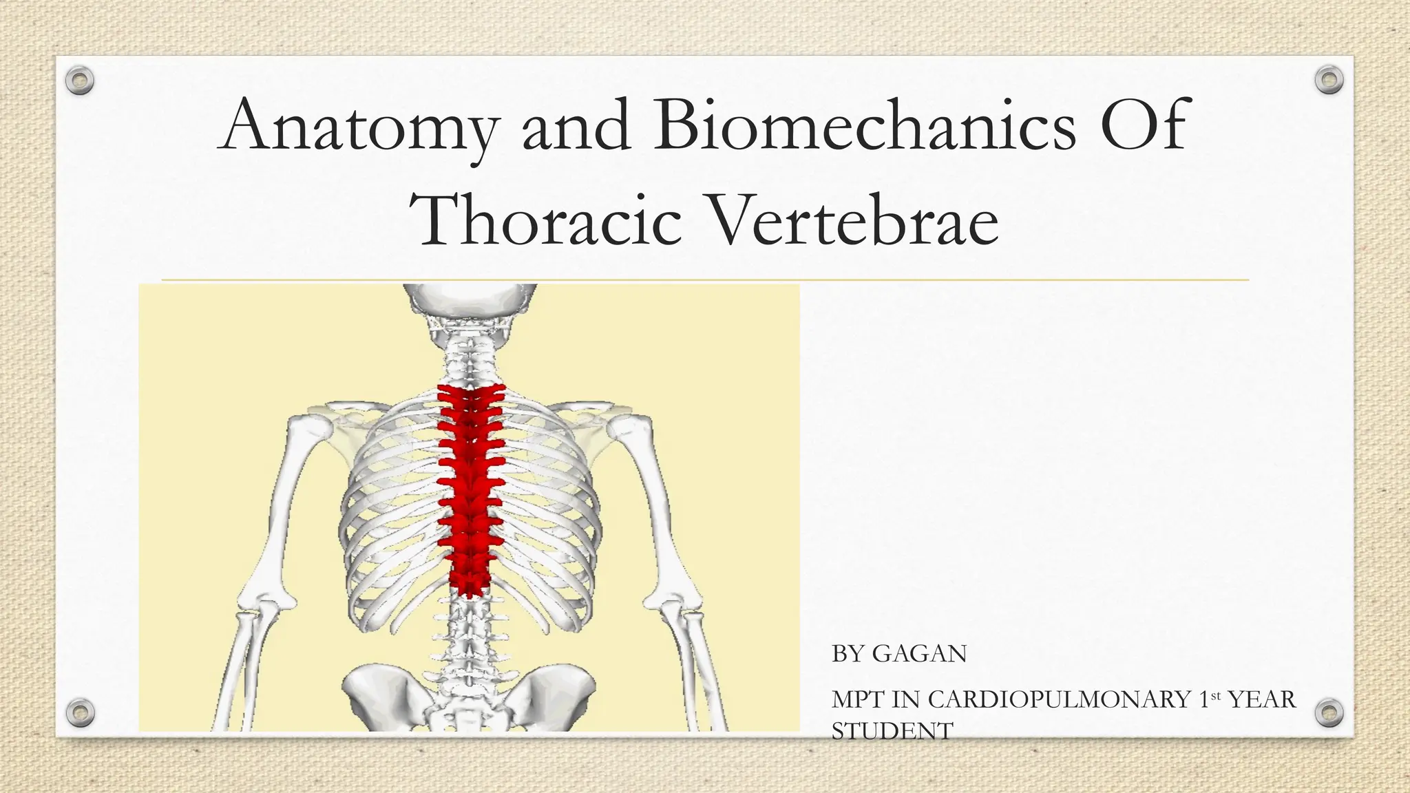 Anatomy and Biomechanics Of Thoracic Spine by Gagan.pptx