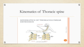 Anatomy and Biomechanics Of Thoracic Spine by Gagan.pptx
