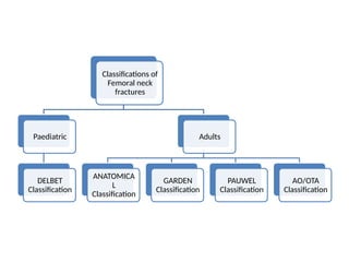 Neck Defect Classification Anatomy and classification of Femoral head and neck fractures.pptx
