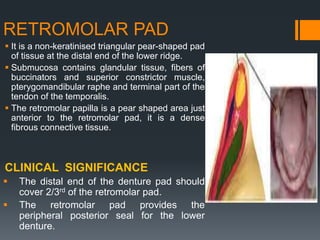 Anatomy and clinical significance of denture bearing areas | PPT