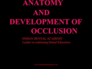ANATOMY
AND
DEVELOPMENT OF
OCCLUSION
INDIAN DENTAL ACADEMY
Leader in continuing Dental Education
www.indiandentalacademy.com
 