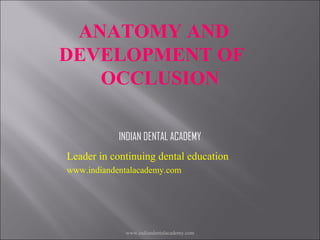 ANATOMY AND
DEVELOPMENT OF
OCCLUSION
INDIAN DENTAL ACADEMY
Leader in continuing dental education
www.indiandentalacademy.com

www.indiandentalacademy.com

 