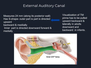 anatomy and disease of ext ear.pptx
