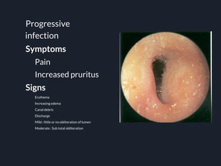 anatomy and disease of ext ear.pptx