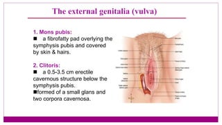 Position :
• The uterus is kept in an
anteverted anteflexed position
(AVF), with the external os lying
at the level of the...