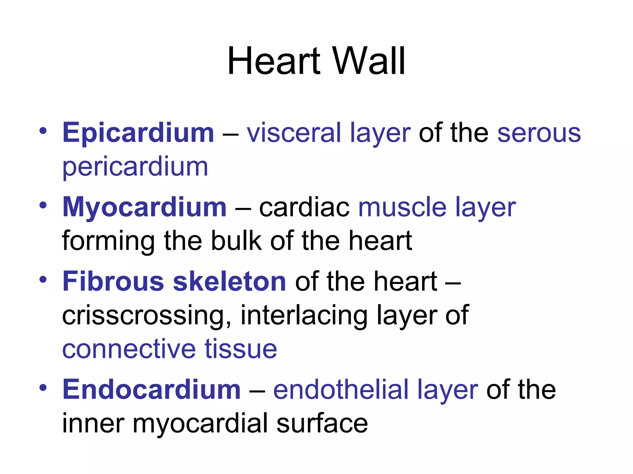 Anatomy and embryology of heart | PPT