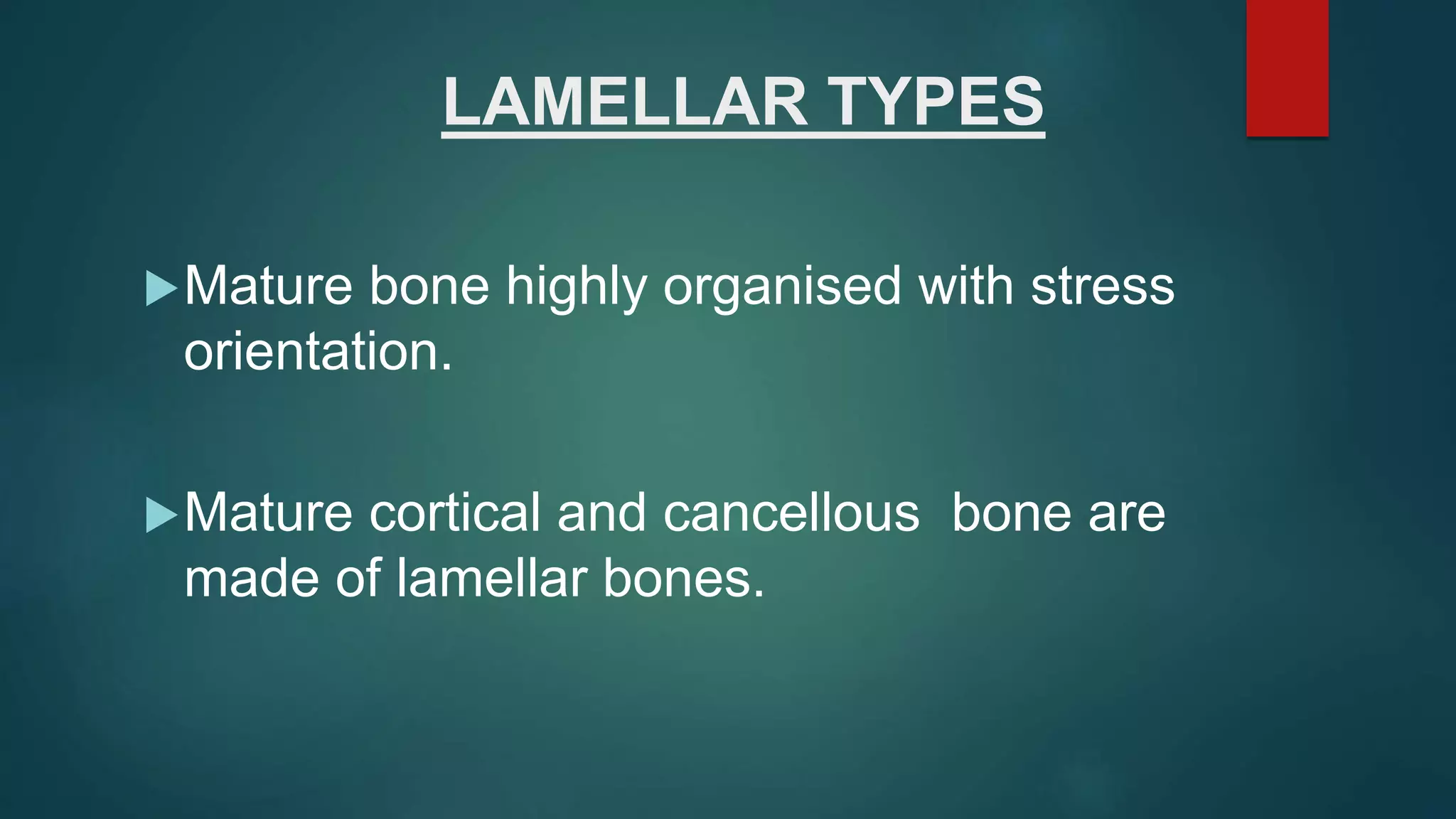 Anatomy and histology of bone | PPTX