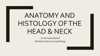 ANATOMY AND
HISTOLOGY OFTHE
HEAD & NECK
Dr.Sameera Rashid
ResidentAnatomical pathology
 