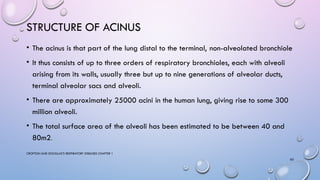 Acinus Functional Unit ANATOMY AND HISTOLOGY OF LUNG IN DETAIL FOR PG | PPTX