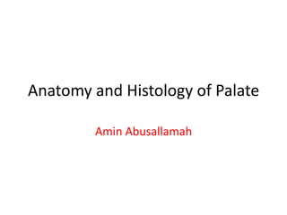 Anatomy and Histology of Palate

         Amin Abusallamah
 