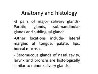 Anatomy and histology
-3 pairs of major salivary glands-
Parotid glands, submandibular
glands and sublingual glands.
-Other locations include- lateral
margins of tongue, palate, lips,
buccal mucosa.
- Seromucous glands of nasal cavity,
larynx and bronchi are histologically
similar to minor salivary glands.
 