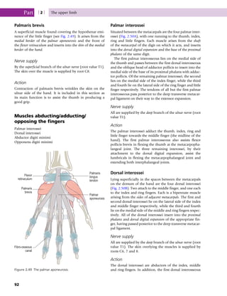 Palmaris brevis
A superficial muscle found covering the hypothenar emi-
nence of the little finger (see Fig. 2.49). It arises from the
medial border of the palmar aponeurosis and the front of
the flexor retinaculum and inserts into the skin of the medial
border of the hand.
Nerve supply
By the superficial branch of the ulnar nerve (root value T1).
The skin over the muscle is supplied by root C8.
Action
Contraction of palmaris brevis wrinkles the skin on the
ulnar side of the hand. It is included in this section as
its main function is to assist the thumb in producing a
good grip.
Muscles abducting/adducting/
opposing the fingers
Palmar interossei
Dorsal interossei
Abductor digiti minimi
Opponens digiti minimi
Palmar interossei
Situated between the metacarpals are the four palmar inter-
ossei (Fig. 2.50A), with one running to the thumb, index,
ring and little fingers. Each muscle arises from the shaft
of the metacarpal of the digit on which it acts, and inserts
into the dorsal digital expansion and the base of the proximal
phalanx of the same digit.
The first palmar interosseous lies on the medial side of
the thumb and passes between the first dorsal interosseous
and the oblique head of adductor pollicis to insert into the
medial side of the base of its proximal phalanx with adduc-
tor pollicis. Of the remaining palmar interossei, the second
lies on the medial side of the index finger, while the third
and fourth lie on the lateral side of the ring finger and little
finger respectively. The tendons of all but the first palmar
interosseous pass posterior to the deep transverse metacar-
pal ligament on their way to the extensor expansion.
Nerve supply
All are supplied by the deep branch of the ulnar nerve (root
value T1).
Action
The palmar interossei adduct the thumb, index, ring and
little finger towards the middle finger (the midline of the
hand). The first palmar interosseous also assists flexor
pollicis brevis in flexing the thumb at the metacarpopha-
langeal joint. The three remaining interossei, by their
attachment to the dorsal digital expansion, assist the
lumbricals in flexing the metacarpophalangeal joint and
extending both interphalangeal joints.
Dorsal interossei
Lying superficially in the spaces between the metacarpals
on the dorsum of the hand are the four dorsal interossei
(Fig. 2.50B). Two attach to the middle finger, and one each
to the index and ring fingers. Each is a bipennate muscle
arising from the sides of adjacent metacarpals. The first and
second dorsal interossei lie on the lateral side of the index
and middle finger respectively, while the third and fourth
lie on the medial side of the middle and ring fingers respec-
tively. All of the dorsal interossei insert into the proximal
phalanx and dorsal digital expansion of the appropriate fin-
ger, having passed posterior to the deep transverse metacar-
pal ligament.
Nerve supply
All are supplied by the deep branch of the ulnar nerve (root
value T1). The skin overlying the muscles is supplied by
roots C6, 7 and 8.
Action
The dorsal interossei are abductors of the index, middle
and ring fingers. In addition, the first dorsal interosseous
Flexor
retinaculum
Palmaris
longus
tendon
Palmar
aponeurosis
Palmaris
brevis
Fibro-osseous
canal
Figure 2.49 The palmar aponeurosis.
Part | 2 | The upper limb
92
 