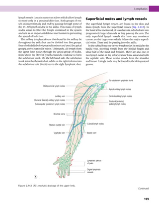 lymph vessels contain numerous valves which allow lymph
to move only in a proximal direction. Both groups of ves-
sels drain proximally and end by passing through some of
the 25–30 lymph nodes in the axilla. This mass of lymph
nodes serves to filter the lymph contained in the system
and acts as an important defence mechanism in preventing
the spread of infection.
The axillary lymph nodes are distributed in the axillary fat
throughout the axilla but can be divided into five groups,
four of which lie below pectoralis minor and one (the apical
group) above pectoralis minor. Ultimately, all lymph from
the upper limb passes through the apical group of nodes,
from where the efferent lymph channels condense to form
the subclavian trunk. On the left hand side, the subclavian
trunk joins the thoracic duct, while on the right it drains into
the subclavian vein directly or via the right lymphatic duct.
Superficial nodes and lymph vessels
The superficial lymph vessels are found in the skin and
drain lymph from the superficial tissues (Fig. 2.143). In
the hand a fine meshwork of vessels exists, which drain into
progressively larger channels as they pass up the arm. The
only superficial lymph vessels that have any consistent
course are the larger ones which follow the major superfi-
cial veins. These end by passing into the axilla.
Inthecubitalfossaoneortwolymphnodesliemedialtothe
basilic vein, receiving lymph from the medial fingers and
ulnar half of the hand and forearm. There are also one or
two lymph nodes in the infraclavicular fossa associated with
the cephalic vein. These receive vessels from the shoulder
and breast. A single node may be found in the deltopectoral
groove.
Cubital lymph nodes
Pectoral (anterior)
axillary lymph nodes
Central axillary lymph nodes
Apical axillary lymph nodes
To subclavian lymphatic trunk
Basilic vein
Lymphatic plexus
of palm
Digital lymphatic
vessels
Median cubital vein
Brachial veins
Subscapular (posterior) lymph nodes
Humeral (lateral) axillary lymph nodes
Axillary vein
Deltopectoral lymph nodes
Cephalic vein
A
Figure 2.143 (A) Lymphatic drainage of the upper limb,
Continued
Lymphatics
199
 