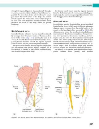 Anatomy_and_Human_Movement.pdf
