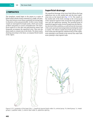 Anatomy_and_Human_Movement.pdf