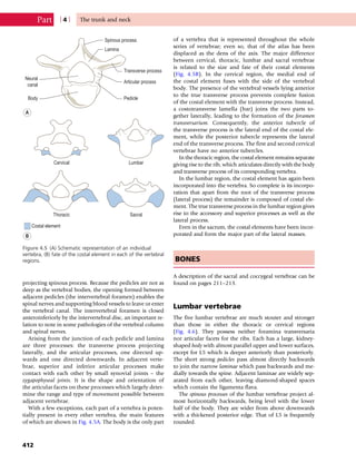 Anatomy_and_Human_Movement.pdf