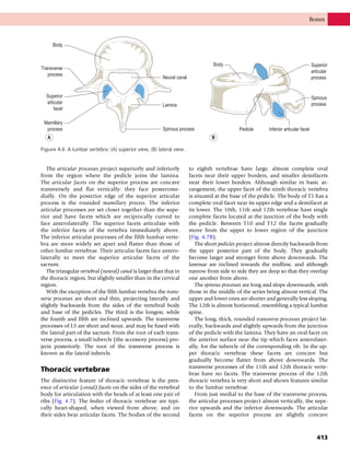 Anatomy_and_Human_Movement.pdf