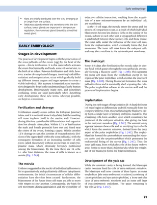 • Hairs are widely distributed over the skin, emerging at
an angle from the surface.
• Sebaceous glands release oily secretions onto the skin
surface; sweat glands are important in temperature
regulation; the mammary gland (breast) is a modified
sweat gland.
EARLY EMBRYOLOGY
Stages in development
The process of development begins with the penetration of
the zona pellucida of the ovum (egg) by the head of the
sperm – this is fertilization. It is this event which activates
the ovum biochemically and leads, some 40 weeks later, to
the birth of an infant. Between fertilization and birth, how-
ever, a series of complicated changes, involving both differ-
entiation and reorganization, occur which gradually build
up different tissues, organs and organ systems to create a
viable individual. This account is intended as an introduc-
tion designed to help in the understanding of early human
development. Unfortunately many new, and sometimes
confusing, terms are used particularly when describing
early development; these new terms, wherever possible,
are kept to a minimum.
Fertilization and cleavage
Fertilization usually occurs within the Fallopian (uterine)
tubes, and it is not until some 6 days later that the resulting
cell mass implants itself in the uterine wall. However,
during this time considerable differentiation and organiza-
tion has already taken place. Within 12 h of fertilization
the male and female pronuclei have met and fused near
the centre of the ovum, forming a zygote. Within another
12 h cleavage occurs; this consists of repeated mitotic divi-
sions of the zygote (still within the zona pellucida) with the
consequent formation of an increasing number of cells
(now called blastomeres) without an increase in total cyto-
plasmic mass, which obviously becomes partitioned
among the blastomeres. By the time there are 16 cells,
i.e. after four divisions, the mass of cells is known as a
morula (Fig. 1.24A).
The morula
Evidence suggests that the nuclei of individual cells come to
lie in quantitatively and qualitatively different cytoplasmic
environments; the initial circumstances of cellular differ-
entiation have therefore been created. Furthermore, the
blastomeres of the future inner cell mass are able to move
with respect to one another. Consequently, the basis for
cell movement during gastrulation and the possibility of
inductive cellular interaction, resulting from the acquisi-
tion of a new microenvironment by an individual cell,
are established.
At the 16-cell stage, the morula enters the uterus and the
process of compaction occurs, as a result of which individual
blastomeres become less distinct. Cells on the outside of the
morula adhere to each other and a topographical difference
is established between these surface cells and those inside.
The outer cells, under the influence of the inner cell mass,
form the trophoectoderm, which eventually forms the fetal
membranes. The inner cell mass forms the embryonic cells,
and may also contribute to the extra-embryonic membranes.
The blastocyst
Some 4–6 days after fertilization the morula takes in uter-
ine fluid, which passes through the zona pellucida, eventu-
ally forming a blastocyst cavity (Fig. 1.24B). This separates
the inner cell mass from the trophoblast except in the
region of the polar trophoblast, which overlies the inner cell
mass (Fig. 1.24B). During blastocyst formation the zona
pellucida thins and is eventually shed, exposing the cells.
The polar trophoblast adheres to the uterine wall and the
process of implantation begins.
Implantation
During the early stages of implantation (6–8 days) the inner
cell mass begins to differentiate and will eventually form the
complete embryo. First, those cells facing the blastocyst cav-
ity form a single layer of primary embryonic endoderm. The
remaining cells form another layer which constitutes the
precursor of the embryonic ectoderm, also giving rise later
to the embryonic mesoderm (Fig. 1.24C). The amniotic cavity
appears between these cells and an overlying layer of cells
which form the amniotic ectoderm, derived from the deep
aspect of the polar trophoblast (Fig. 1.24C). The tropho-
blast has formed the cytotrophoblast surrounding the blasto-
cyst cavity, and the syncytiotrophoblast which penetrates the
endometrial lining of the uterus (Fig. 1.24C). Thus the
inner cell mass, from which the cells of the future embryo
arise, forms no more than a bilaminar disc while the remain-
der of the blastocyst forms the fetal membranes.
Development of the yolk sac
While the amniotic cavity is being formed, the blastocyst
cavity becomes lined by cells of extra-embryonic endoderm.
The blastocyst wall now consists of three layers: an outer
trophoblast (the extra-embryonic ectoderm) consisting of
cytotrophoblast and syncytiotrophoblast, a loose reticular
layer of extra-embryonic mesoderm and an inner cell layer
of extra-embryonic endoderm. The space remaining is
the yolk sac (Fig. 1.24D).
Early embryology
29
 