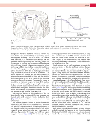 Anatomy_and_Human_Movement.pdf