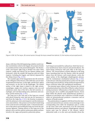 Anatomy_and_Human_Movement.pdf