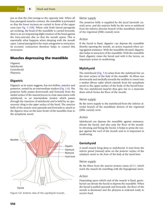Anatomy_and_Human_Movement.pdf