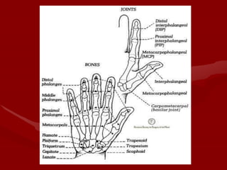 Anatomy and Injuries to the Wrist and Hand.ppt